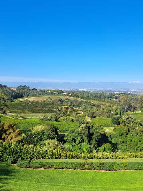 Cape Town : Surfing and Wine Tasting Private Tour - Wine Tasting at Two Iconic Vineyards