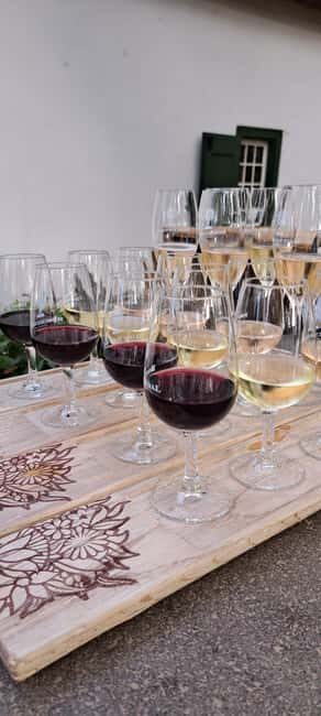 Cape Town : Surfing and Wine Tasting Private Tour - FAQs