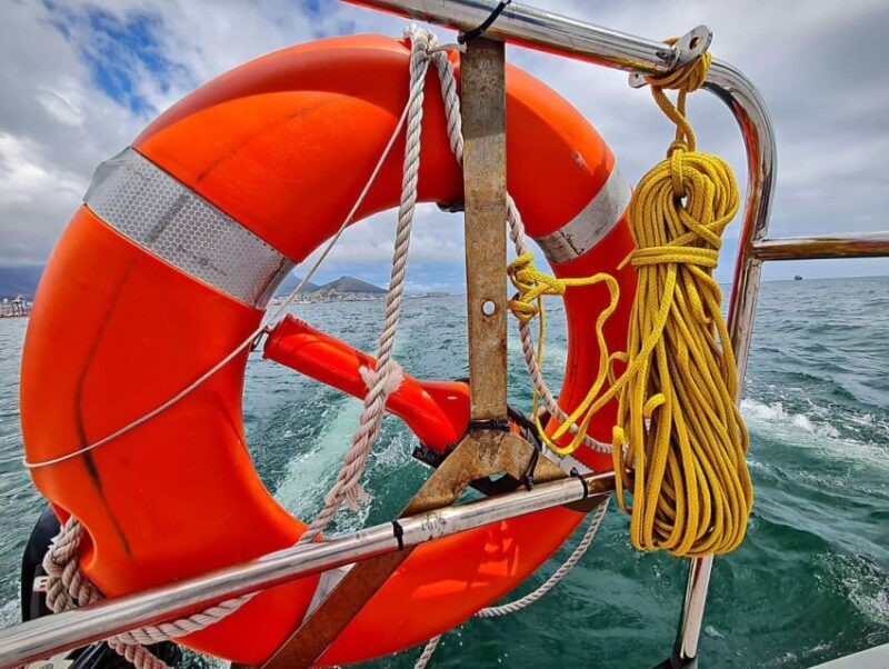 Cape Town: Table Bay Cruise by Catamaran - An Authentic Cape Town Experience on the Water