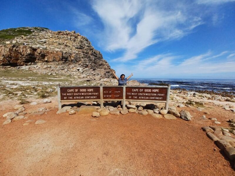 Cape Town: Table Mountain and Penguins Private Guided Tour - A Detailed Look at the Cape Town: Table Mountain and Penguins Private Tour  