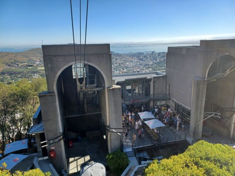 Cape Town: Table Mountain and Penguins Private Guided Tour - Practical Details & Tips for Travelers  