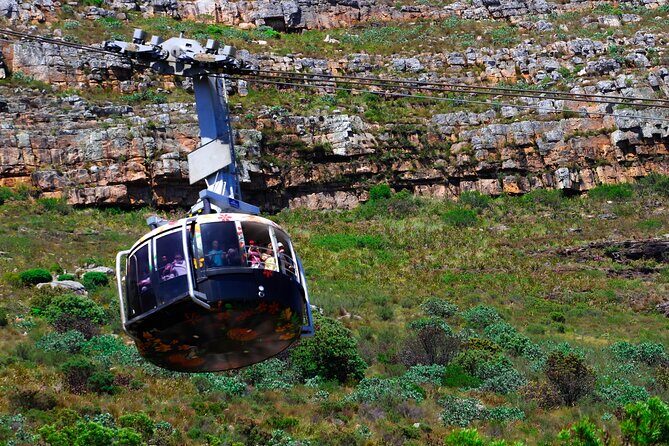 Cape Town Table Mountain and Peninsula Tour - Introduction