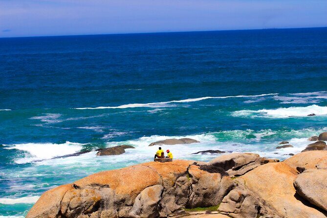Cape Town Table Mountain and Peninsula Tour - Who Will Love This Tour?