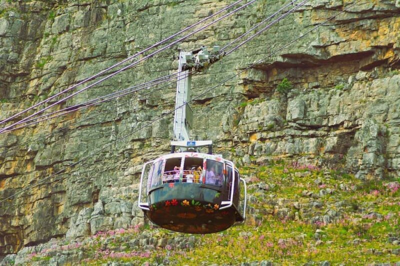 Cape Town: Table Mountain, Bo Kaap, and Diamond Tour - Who Should Consider This Tour?