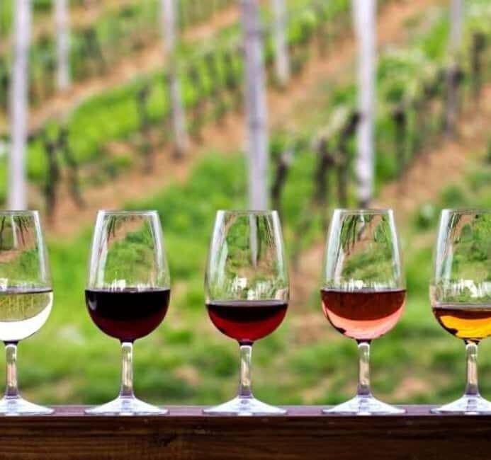 Cape Town: Table Mountain, Bo-Kaap, and wine tasting & more - Overview of the Tour Experience