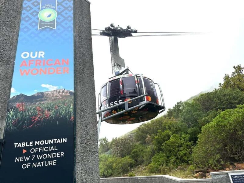 Cape town: Table Mountain Boulder's Beach and Cape Point - The Sum Up: Is This Tour Worth It?