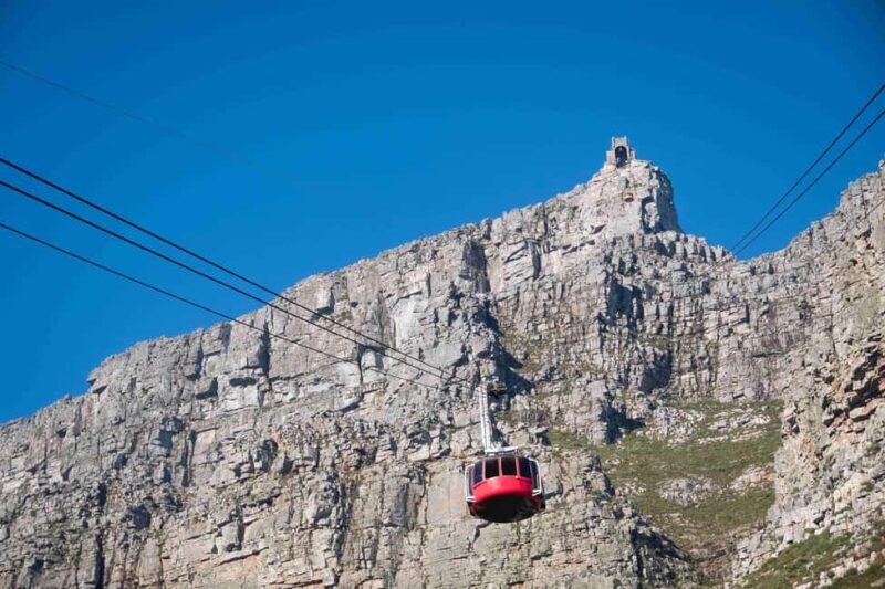 Cape Town: Table Mountain, Cape Point, and Penguins Tour - The Highlights in Detail