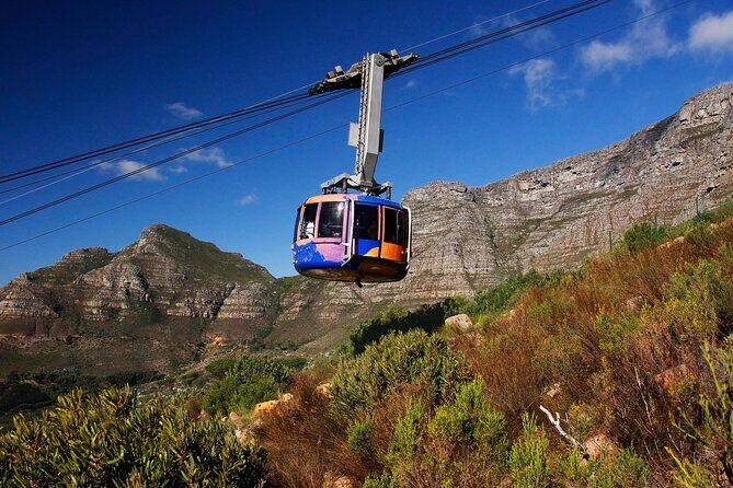 Cape Town Table Mountain Cape Point Penguins Full-Day Private Tour - A Complete Guide to the Cape Town Private Tour Experience