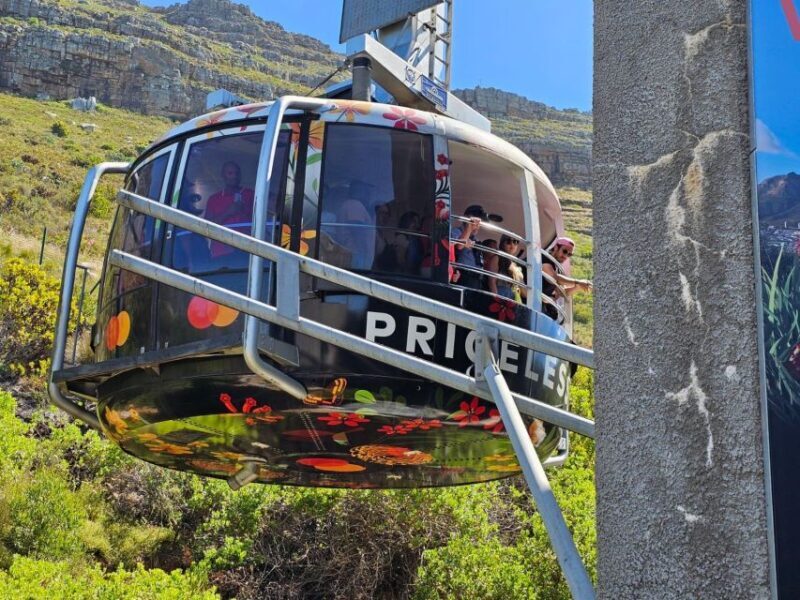 Cape Town: Table Mountain, Cape Point, & Penguins Group Tour - Who Is This Tour Best For?
