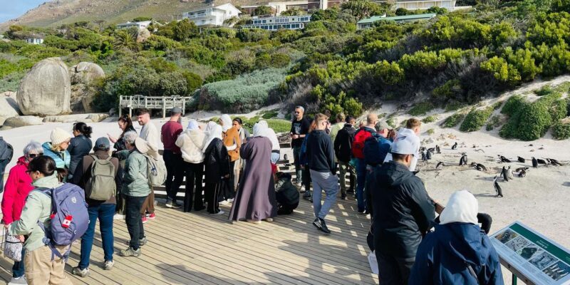 Cape Town: Table Mountain, Cape Point, Penguins Group Tour - Is This Tour Right for You?