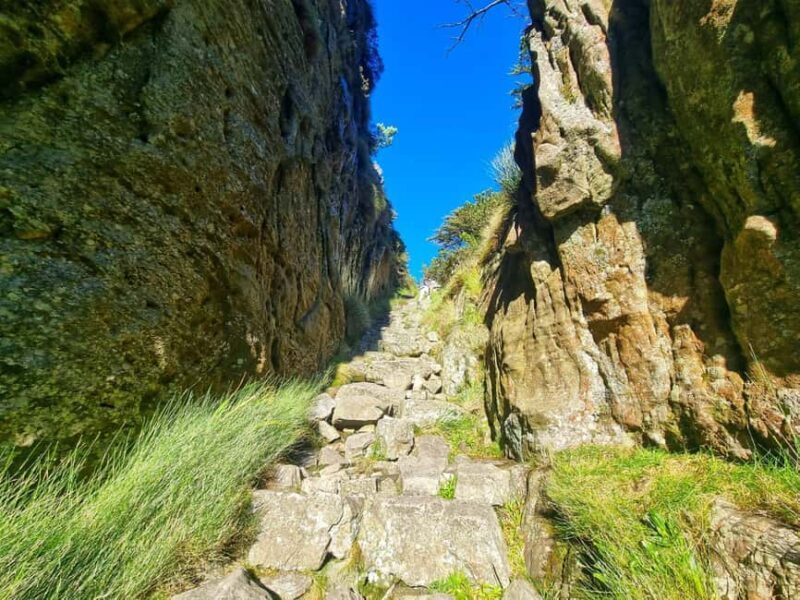 Cape Town: Table Mountain Group Hike via Platteklip Gorge - Key Points