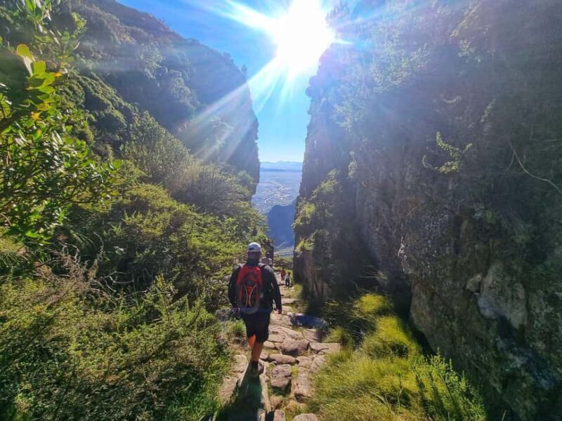 Cape Town: Table Mountain Group Hike via Platteklip Gorge - An Authentic Climb with a View