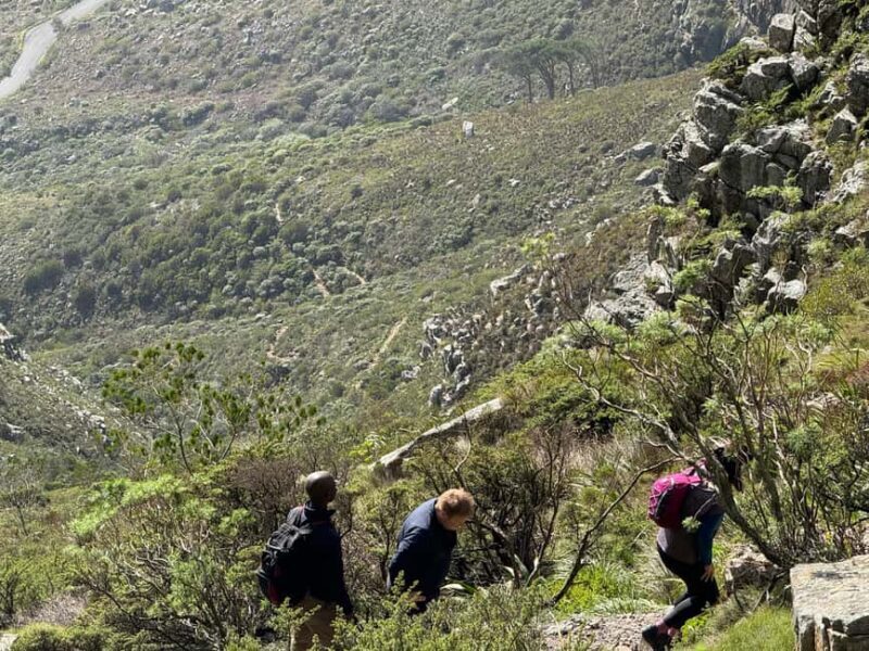 Cape Town: Table Mountain Group Hike via Platteklip Gorge - Practical Details and Tips
