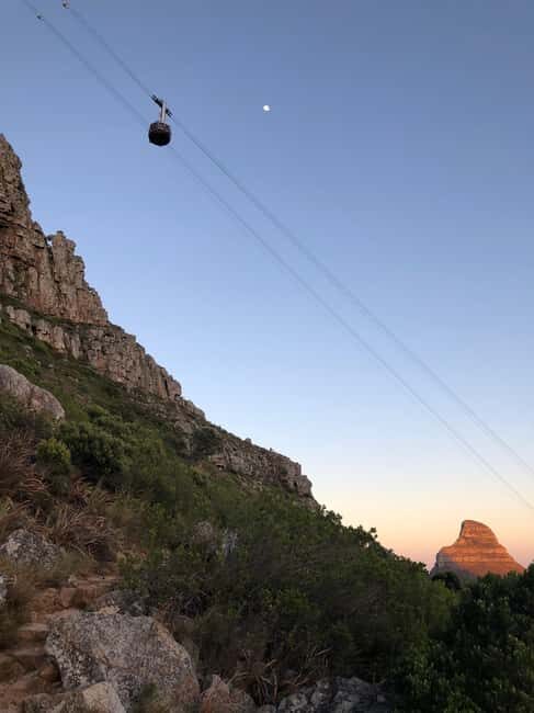 Cape Town: Table Mountain Guided Hike Up/Cable Car Down - Key Points