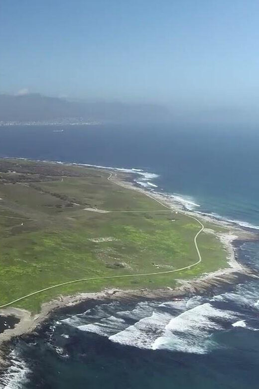 Cape Town: Table Mountain Half Day Tour - Practical Tips