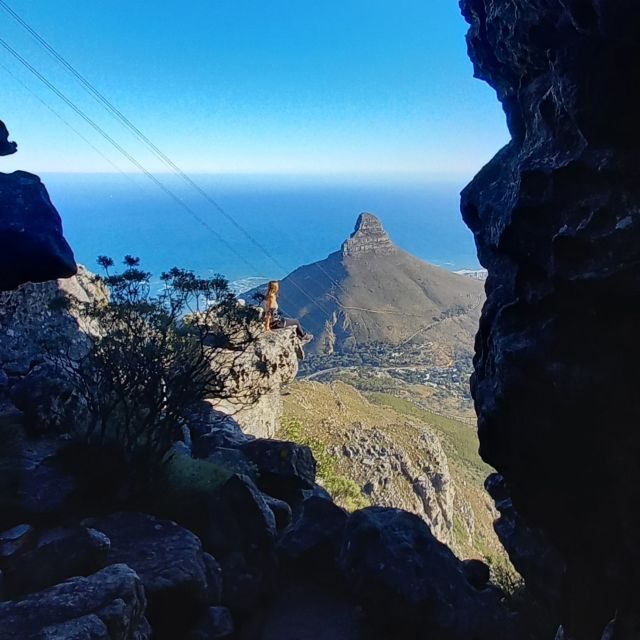 Cape Town: Table Mountain Hike via India Venster Morning - What’s Included and What to Bring