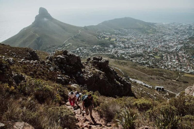 Cape Town: Table Mountain Hike with an Experienced Guide - Why You Should Consider This Tour