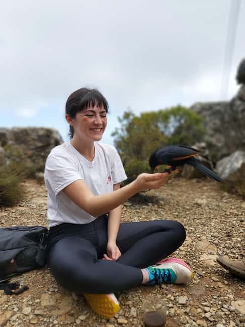 Cape Town: Table Mountain Hike with an Expert Guide - Why We Think This Tour Is a Great Investment