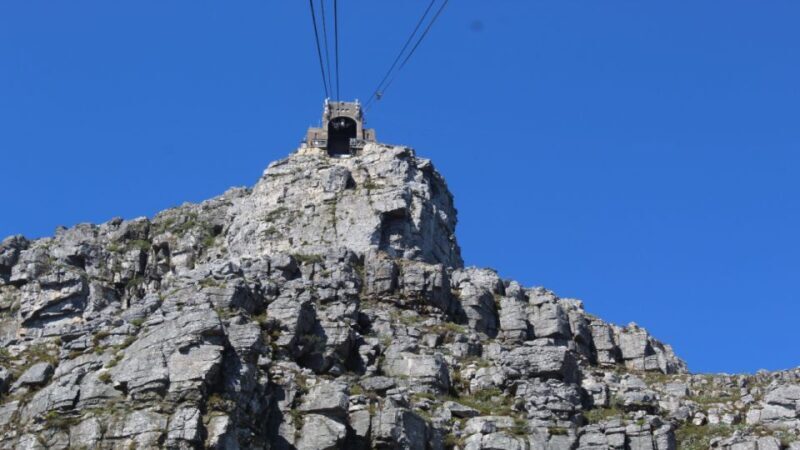 Cape Town:- Table Mountain including Hotel Transfer - Who Is This Tour Best For?