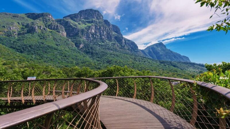 Cape Town: Table Mountain, Kirstenbosch Botanic Garden Tour - Key Points