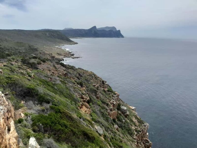 Cape Town: Table Mountain, Penguins & Cape of Good Hope Tour - Final Thoughts