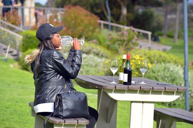 Cape Town Table Mountain Penguins & Cape Point All-inclusive - Key Points