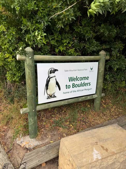 Cape Town: Table Mountain, Penguins & Cape Point Group Tour - Practical Details & Value