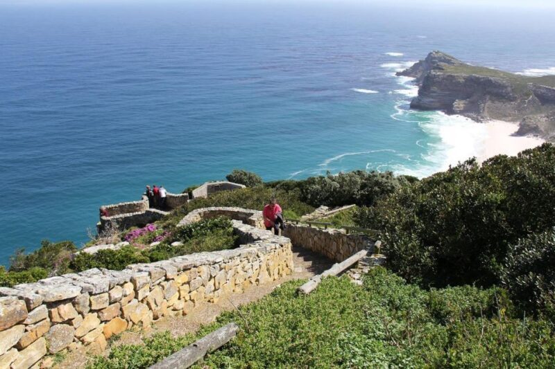 Cape Town: Table Mountain, Penguins & Cape Point Shared Tour - Key Points  