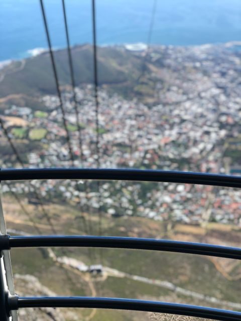 Cape Town: Table Mountain, Penguins & Cape Point Shared Tour - A Closer Look at the Itinerary