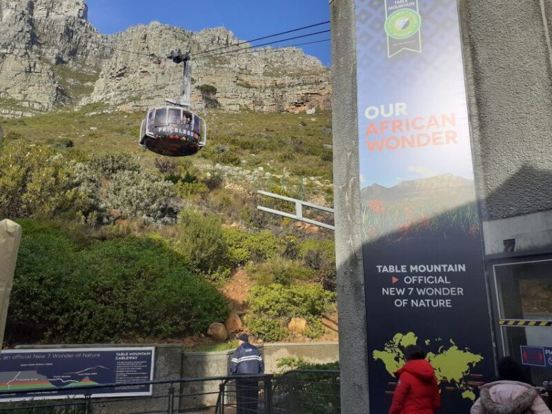 Cape Town: Table Mountain,Cape Point & Penguins Private Tour - An In-Depth Look at the Tour