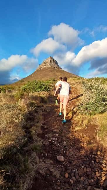 Cape Town: Trail Run Lion's Head and Signal Hill Morning - Who Will Love This Tour?