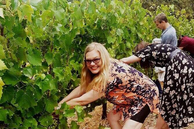 Cape town - Unique Private wine tour Blend & bottle own wine - Key Points