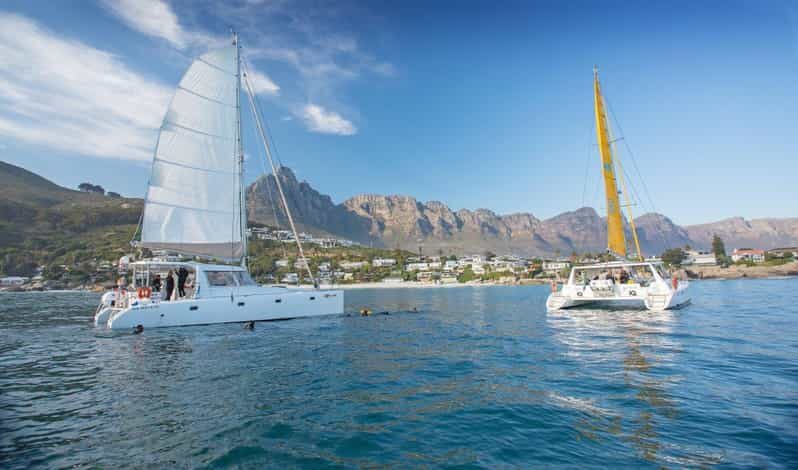 Cape Town: V&A Waterfront 1-Hour Scenic Cruise - Key Points
