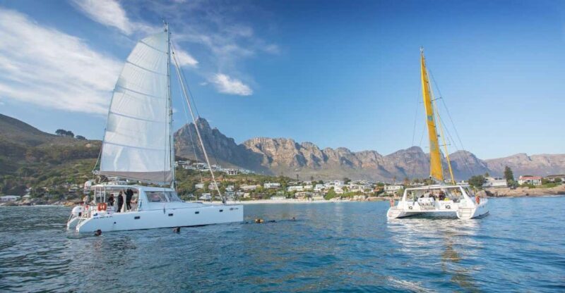 Cape Town: V&A Waterfront 1-Hour Scenic Cruise - An In-Depth Look at the Experience