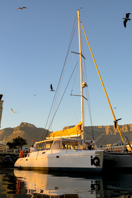 Cape Town: V&A Waterfront 1-Hour Scenic Cruise - The Reviewers Perspective