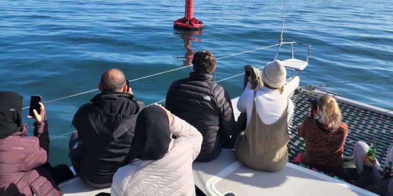 Cape Town: V&A Waterfront 1-Hour Scenic Cruise - Practical Info & Tips