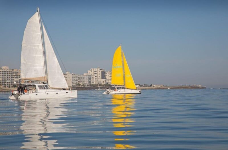 Cape Town: V&A Waterfront Gin Voyage Cruise - Key Points
