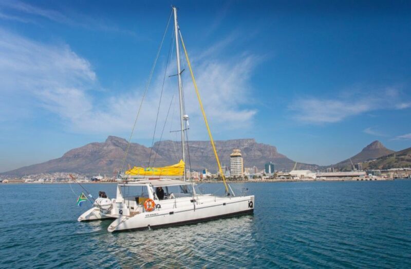 Cape Town: V&A Waterfront Gin Voyage Cruise - Final Thoughts