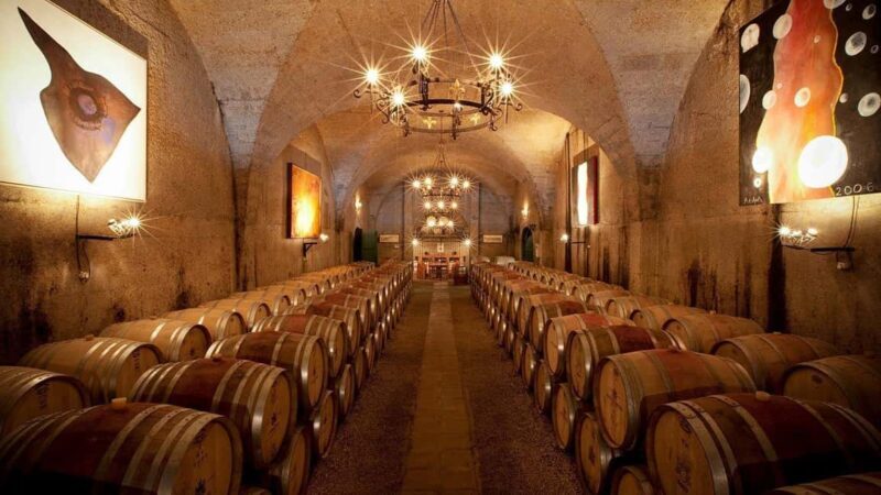Cape Town: Wine Lover Winelands Tour with Private Transfer - A Complete Breakdown of the Tour Experience