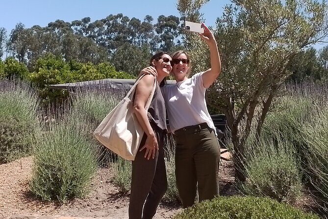 Cape Town Wine Tasting - Who Will Love This Tour?