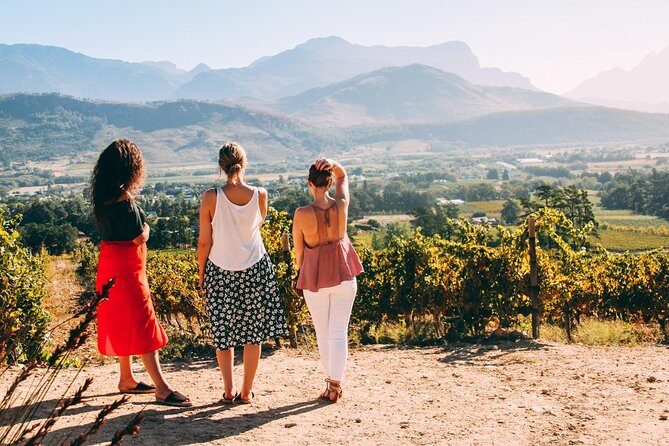 Cape Town Wine Tasting - The Sum Up