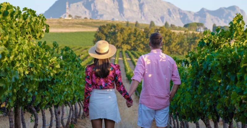 Cape Town Wine Tour (Paarl, Stellenbosch & Franschhoek) - A Closer Look at the Itinerary and What You Can Expect