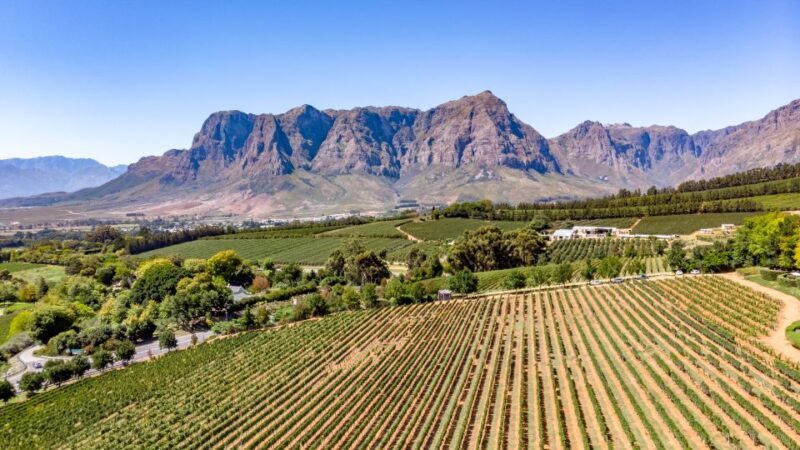 Cape Town Wine Tour (Paarl, Stellenbosch & Franschhoek) - FAQ