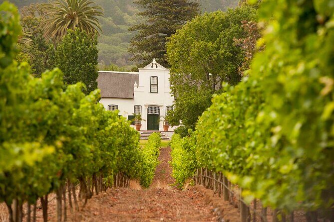 Cape Town: Winelands Private Half Day Tour - Who Is This Tour Best For?