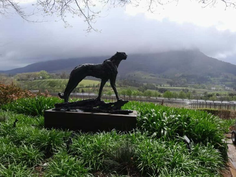 Cape Town: Winelands Private Tour - An In-Depth Look at the Cape Winelands Private Tour