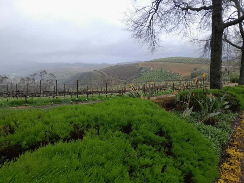 Cape Town: Winelands Private Tour - Why This Tour Is Worth Considering