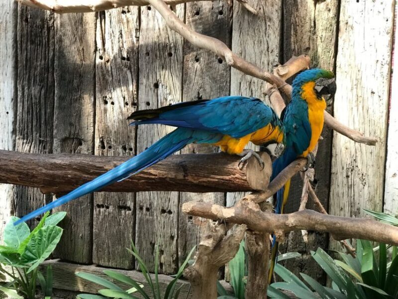 Cape Town: World of Birds & Animal Sanctuary - Final Thoughts