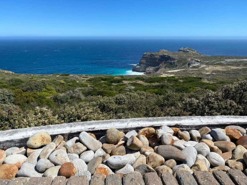 Cape Town:Cape of Good Hope, Penguins & Seal Island, Private - Lunch in Simon’s Town and Final Stops