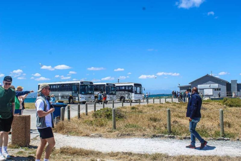 Cape Town:Robben Island Guided Tour, Skip the Ticketing Line - Final Thoughts