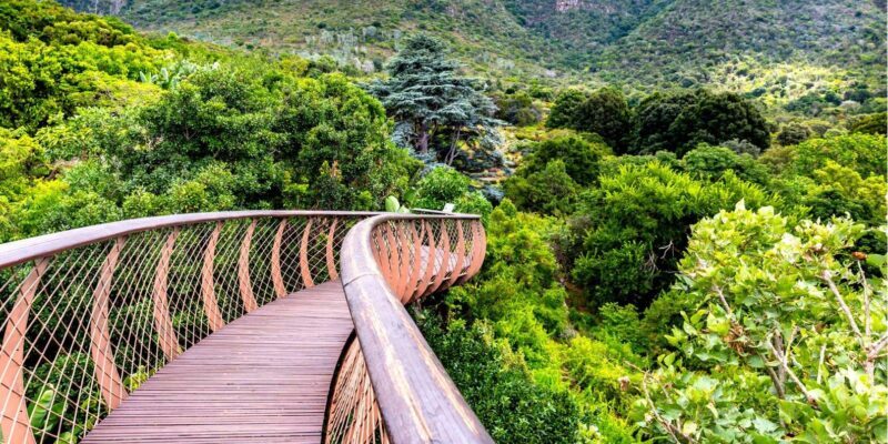 Cape town:Robben Island ,Kirstenbosch Garden & wine tasting - FAQ